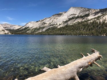 Yosemite, Tenaya Lake